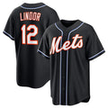 seanshop  New York Mets #12 Francisco Lindor 2026 Black  Out Stitched Jersey