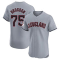 Seanshop C.Guardians #75 Connor Brogdon Player Gray Road Limited Elite Home Stitched Jerseys