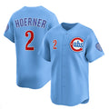 seanshop  Chicago Cubs #2 Nico Hoerner Blue  2024-25 2nd Alternate Limited Stitched Jersey
