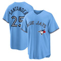 seanshop   Toronto Blue Jays #25 Anthony Santander Light Blue  Alternate Replica Jersey
